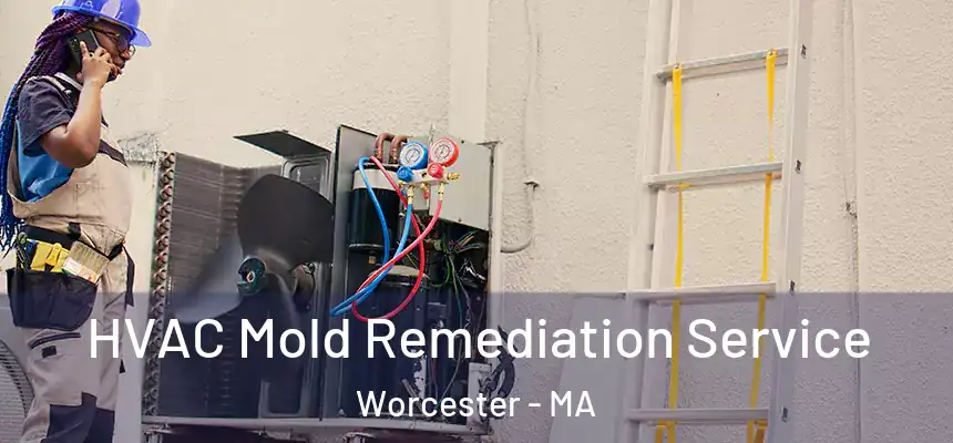  HVAC Mold Remediation Service Worcester - MA