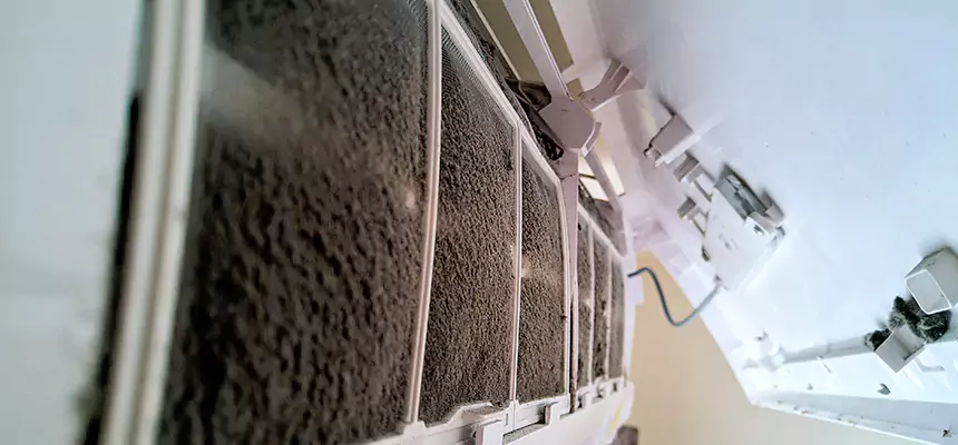 Preventive Air Duct Bacteria Removal in Worcester