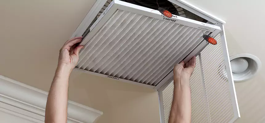 Preventive Cockroach-Proofing for Ducts in Worcester