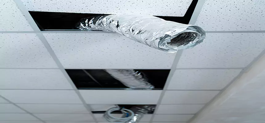 Affordable HVAC Sanitizing After Pest Removal in Worcester