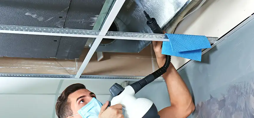 Our Air Duct Rodent Removal Services in Worcester, MA