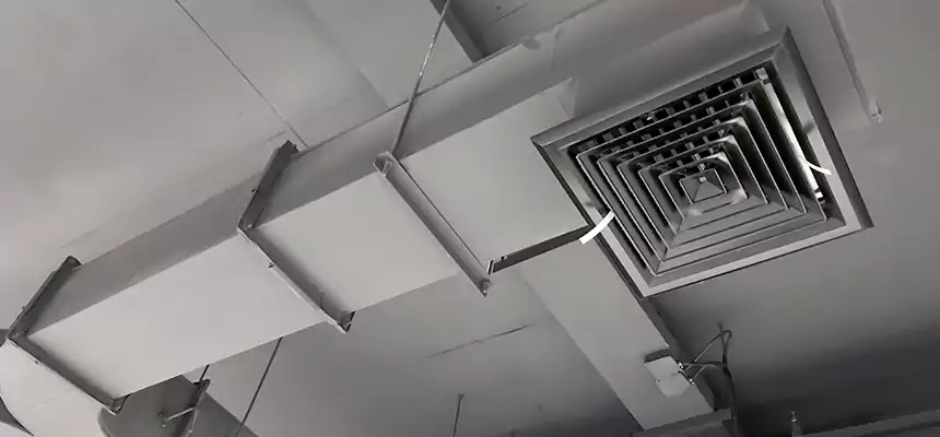 Restorative Allergy Relief Vent Cleaning – Coil, Blower & Housing Detail in Worcester