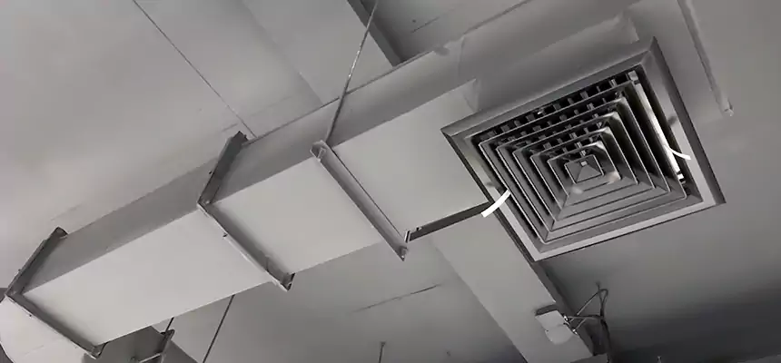 Our Pest Removal From Ducts Services in Worcester, MA