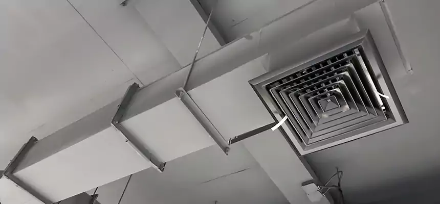 Our Rodent Droppings In Vents Services in Worcester, MA