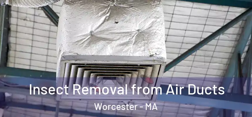 Insect Removal from Air Ducts Worcester - MA