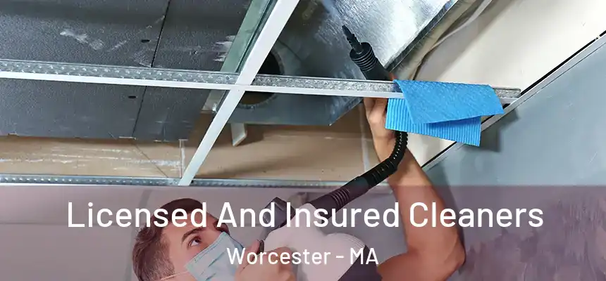 Licensed And Insured Cleaners Worcester - MA