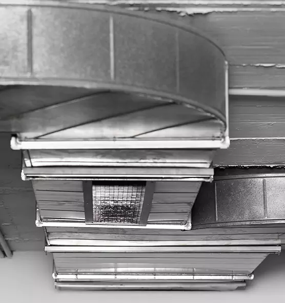 Professional Air Duct Pest Removal in Worcester, MA