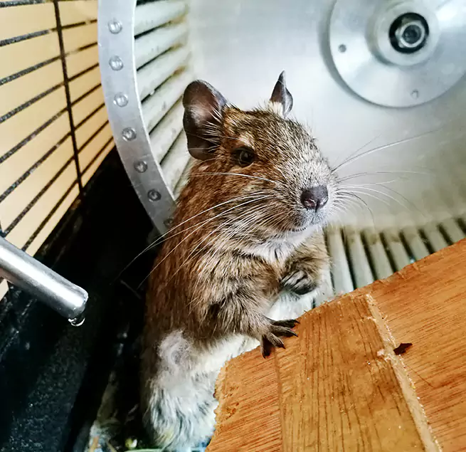 Why Homeowners & Businesses Trust Us Worcester, MA