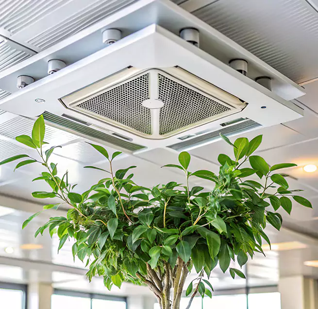 Why Homeowners & Businesses Trust Us in Worcester, MA